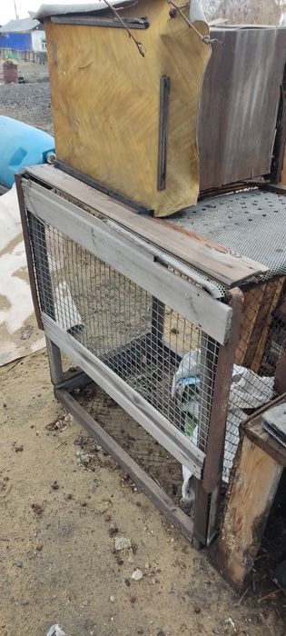 Клетки для курей,цыплят,кроликов.
