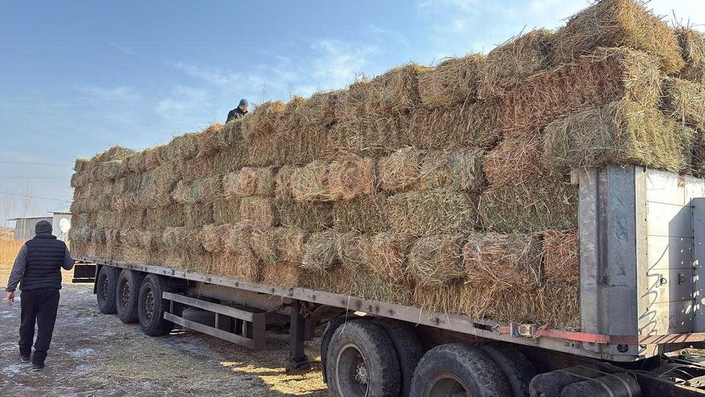 продам сено тюки