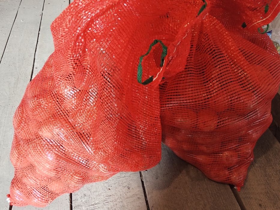 Картошка сорт Галла