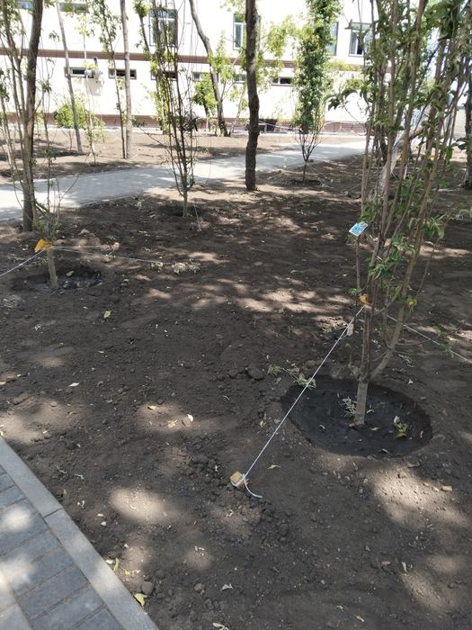 Благоустройство территории