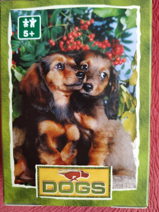 Puzzle-uri pentru cei mari și cei mici
