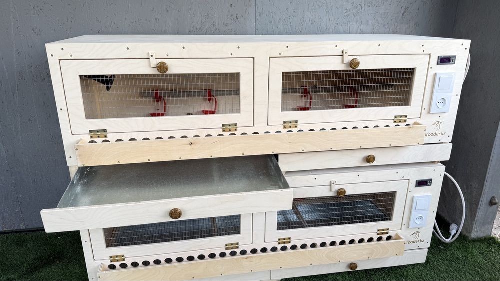Брудер для выведения птиц