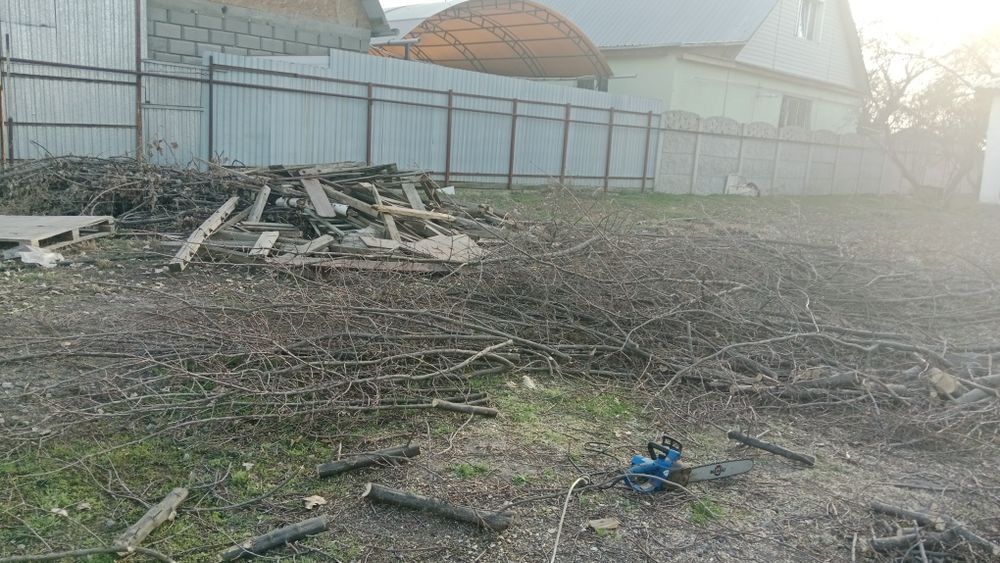 Продам дрова, Дуб.