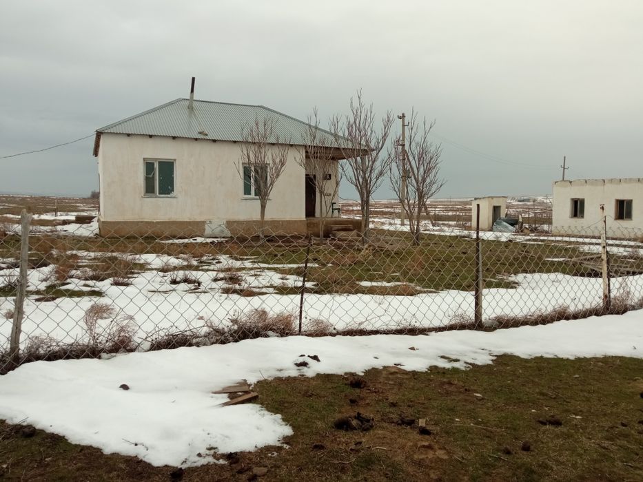 Фазенда туркестански облыс шаян