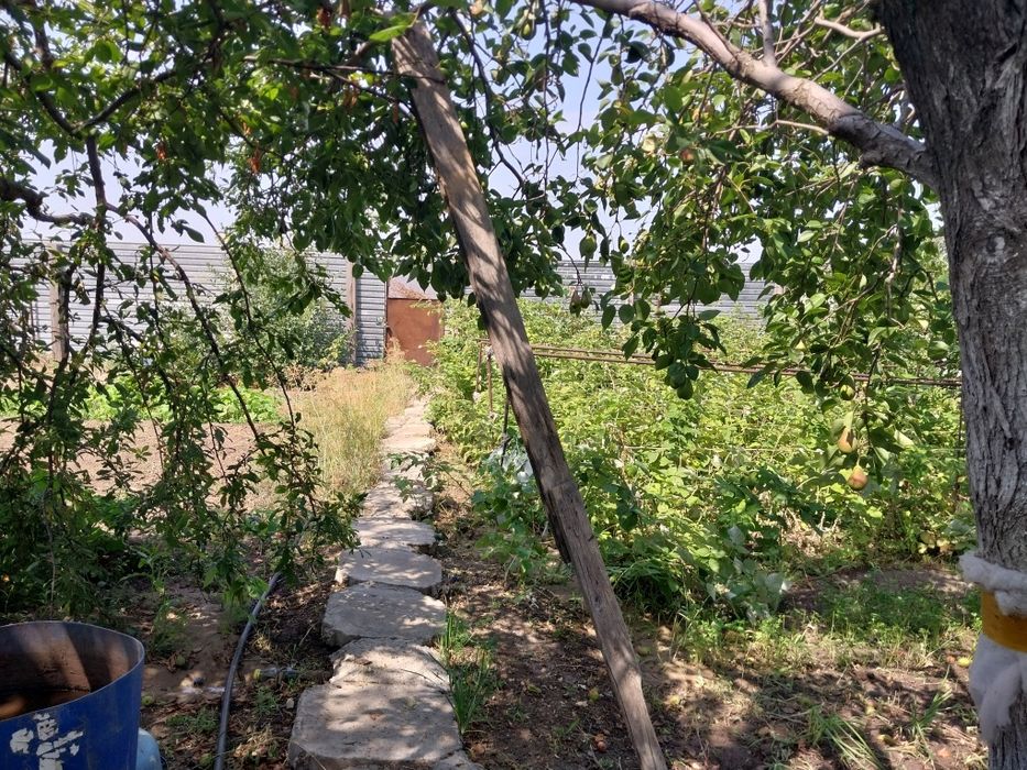 Дача на бугарках