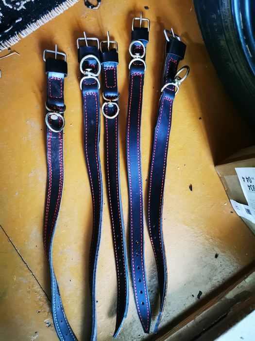 5 centuri pentru animale din piele noi cu inel