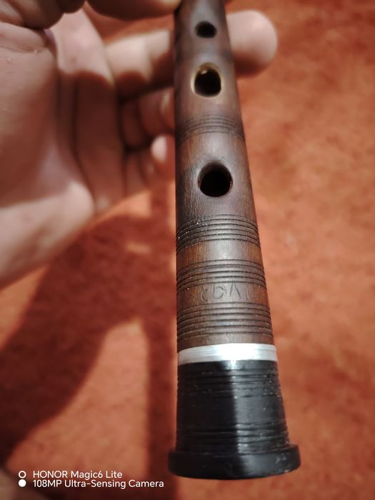 Каменовска сол гайдуница