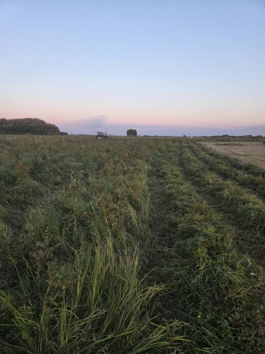 Сено луговой продам