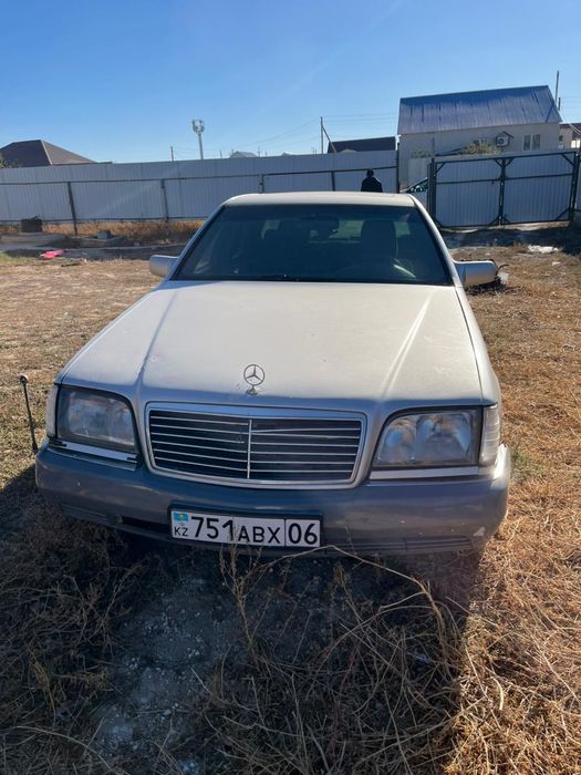 Продам кабан срочно