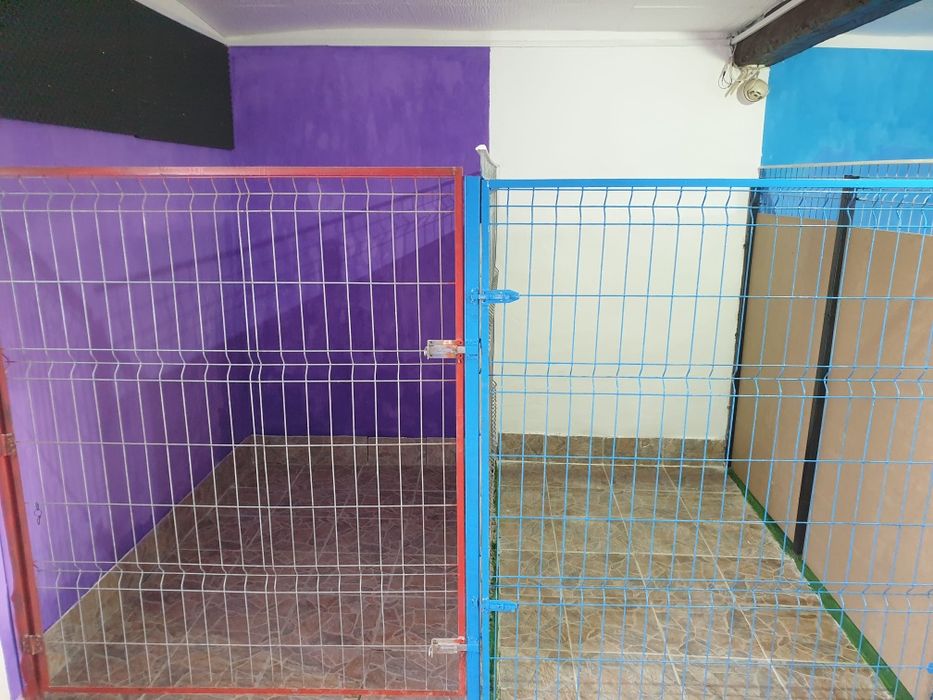 Cazare câini , pensiune canină