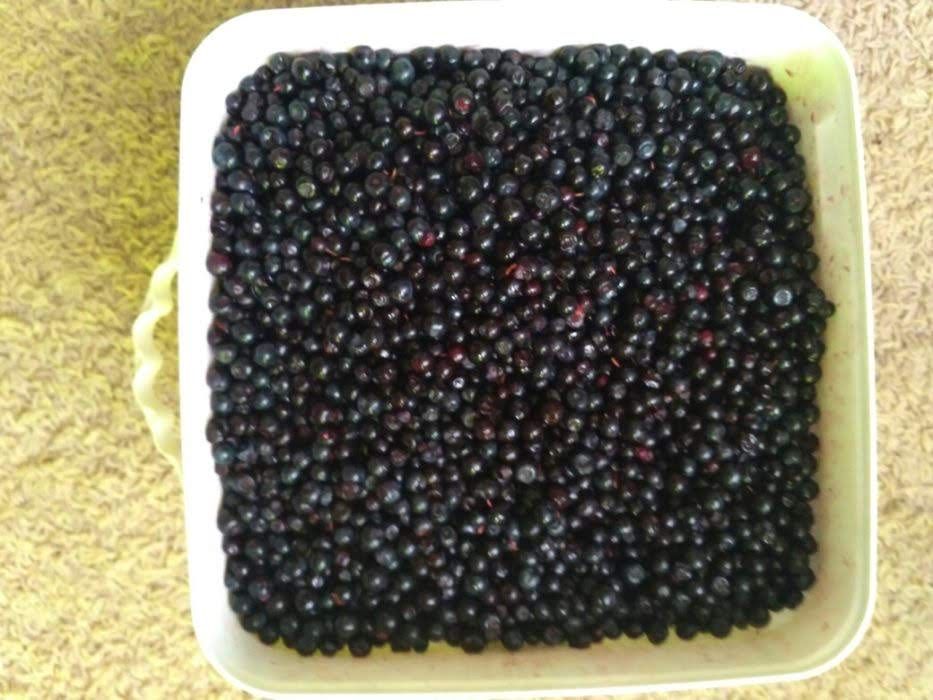 Продавам боровинки