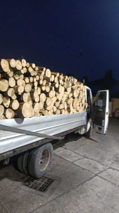 Lemn foc esență tare