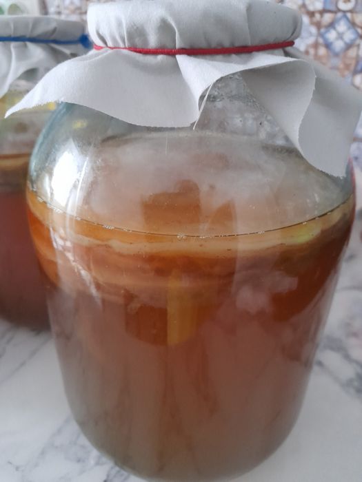 Камбуча - Чайный гриб