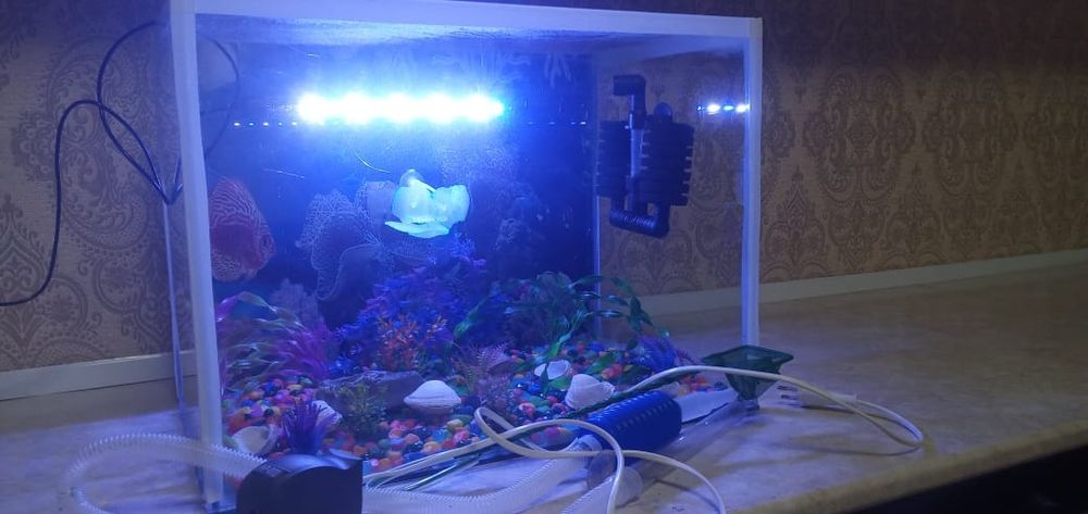 Продам аквариум в комплекте