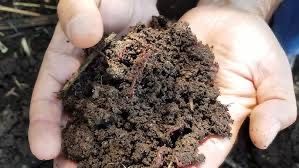 Biogomes dehqonlar uchun ogʻit