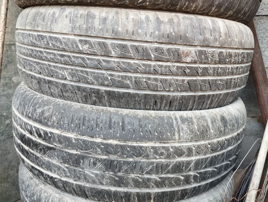 Каптива балонлари сотилади