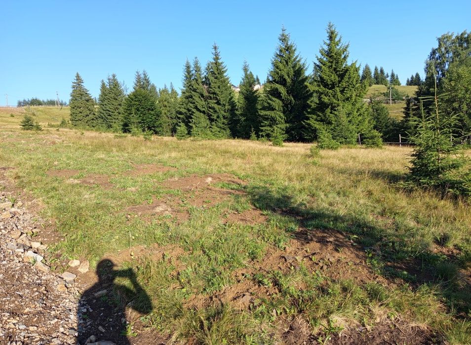 Teren  Piatra Fântânele / Pasul Tihuta 1.450  euro/ar