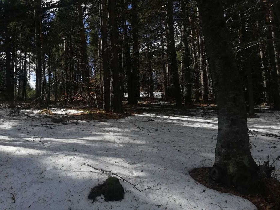 Парцел хижа Здравец до хижа Металик 100метра лице