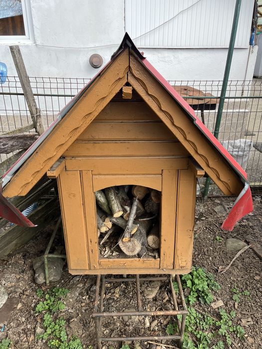 Cotet ptr caine talie mare