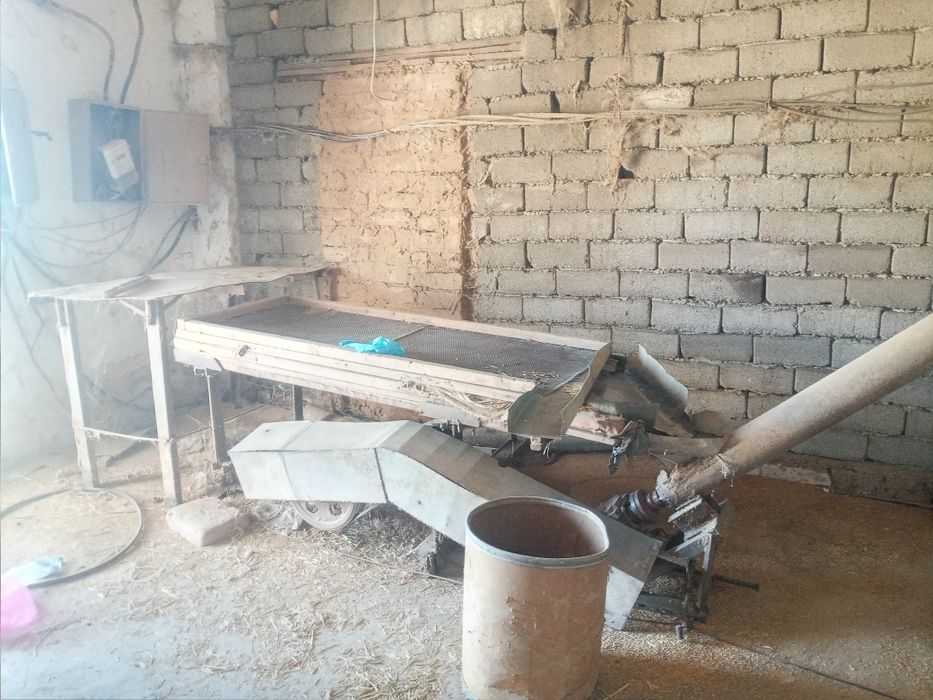 Sholi tegirmon xitoy GIGANT