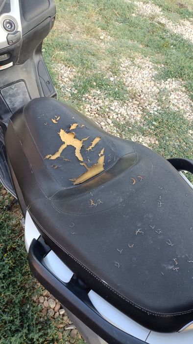 Scuter Yamaha Xmax 250 2011