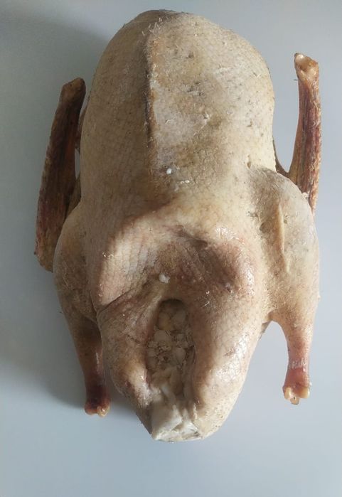 Продам тушки гусей