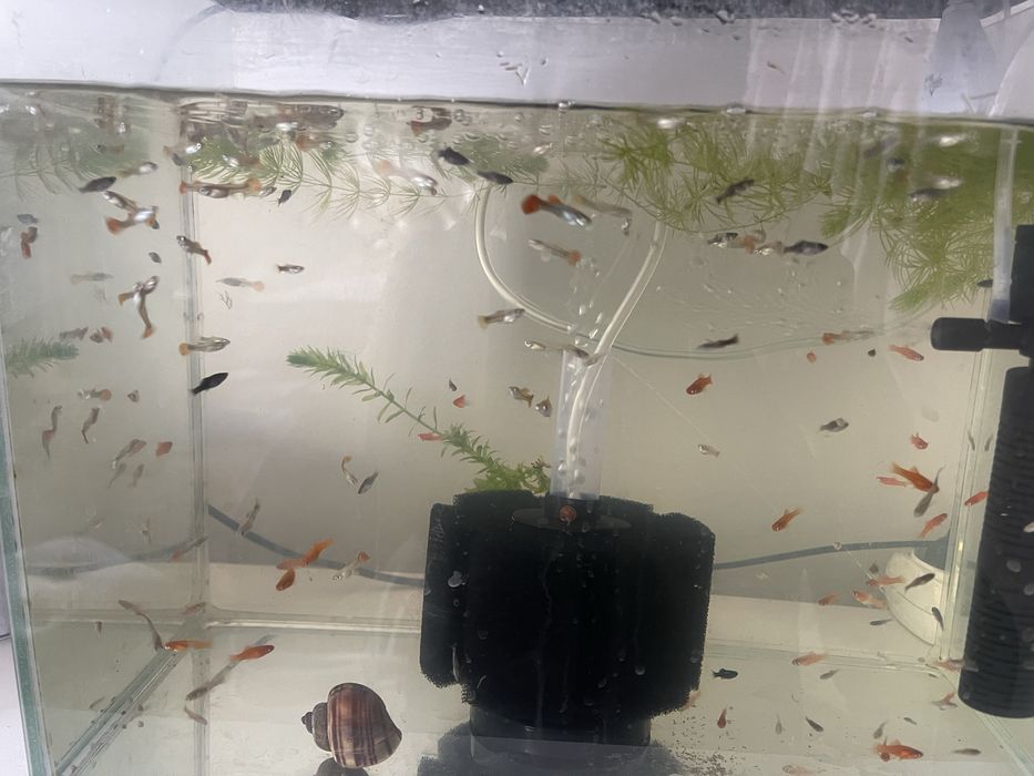 Аквариум 150 и 40 литр