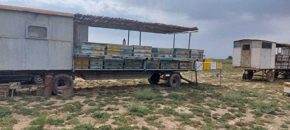 Продам пчело прицеп