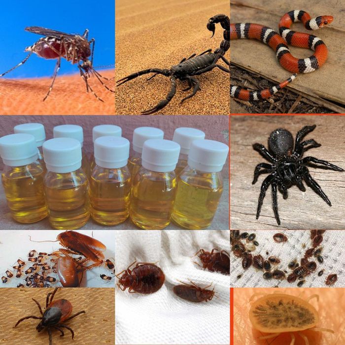 Жыдкое средство Торнадо от клопов и других насекомых 50мл