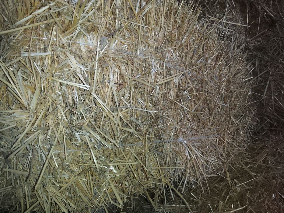 Продажа пресса пшеничной соломы