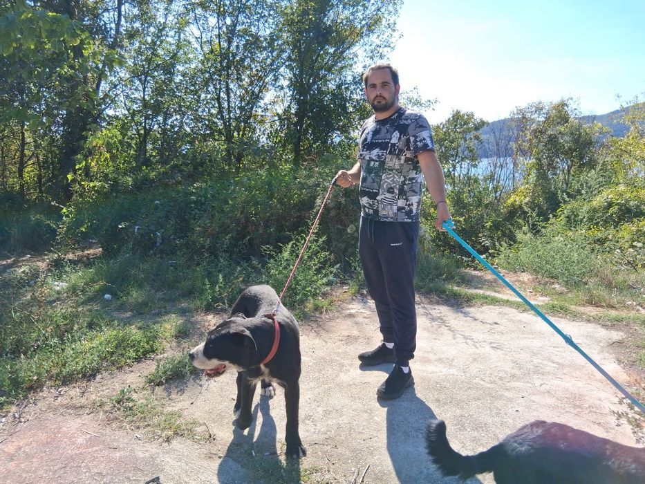 Transport animale domestice NON-STOP