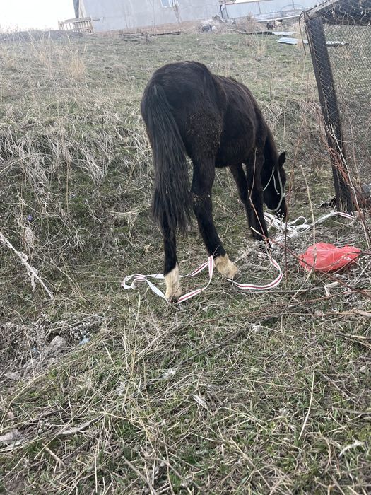 Вечерние  платья