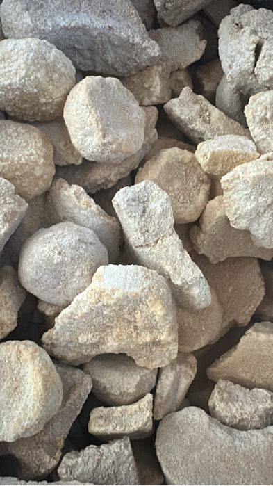 Кайнатылган курт