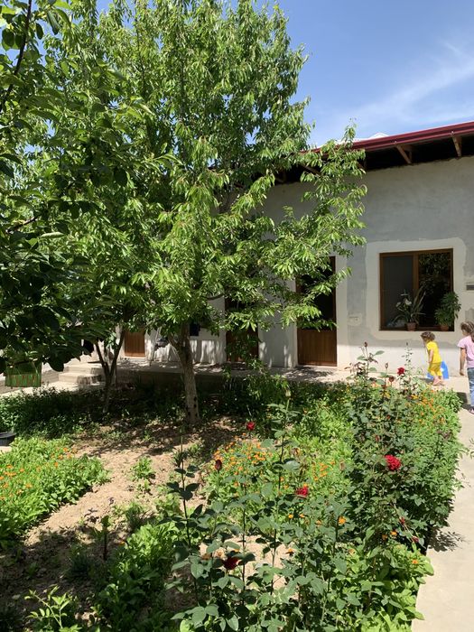 Сергели Хонободда шинам, катта оила учун ховли Сотилади