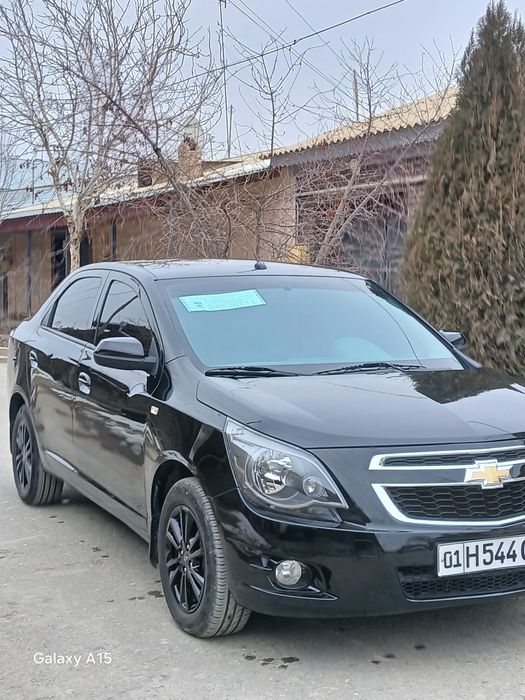 Cobalt midnight qora 2025