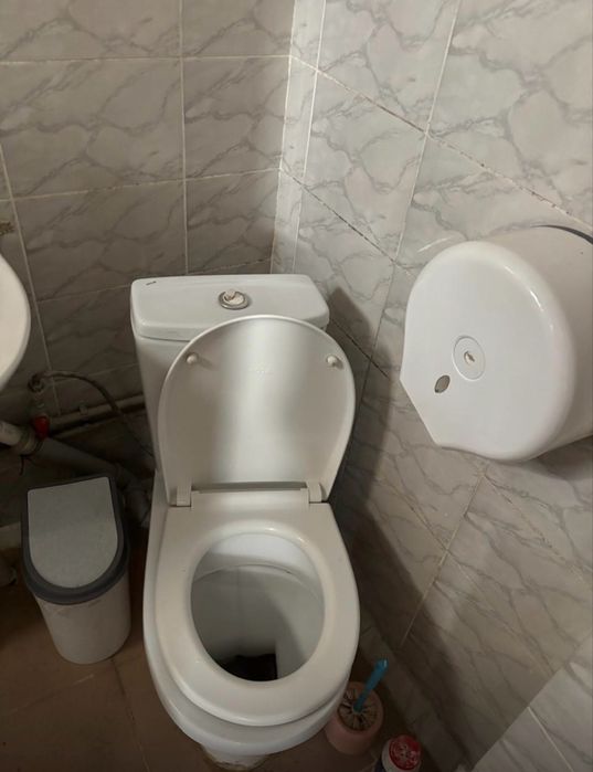 Подселение Алматы