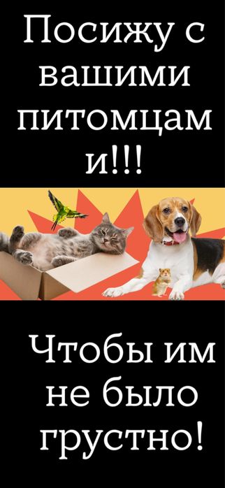 ПОСИЖУ с питомцами! Кошки,собаки не важно! Очень люблю животных!