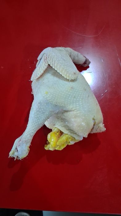 Пиодаётмя мясо домашней птицы.экологочески чистле