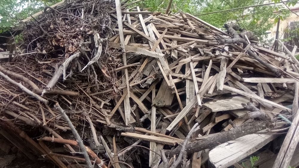 Утинлар бор. Арзон сотаман