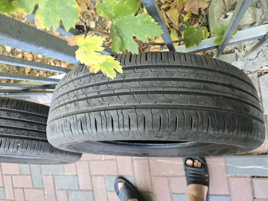 215.65.17 continental eco contact 6
