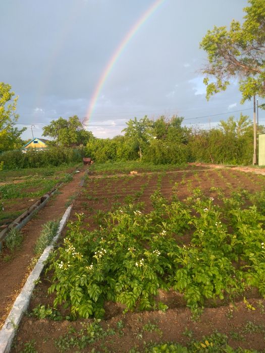 Дача на первой водоколонке. Вьезд во вторые ворота
