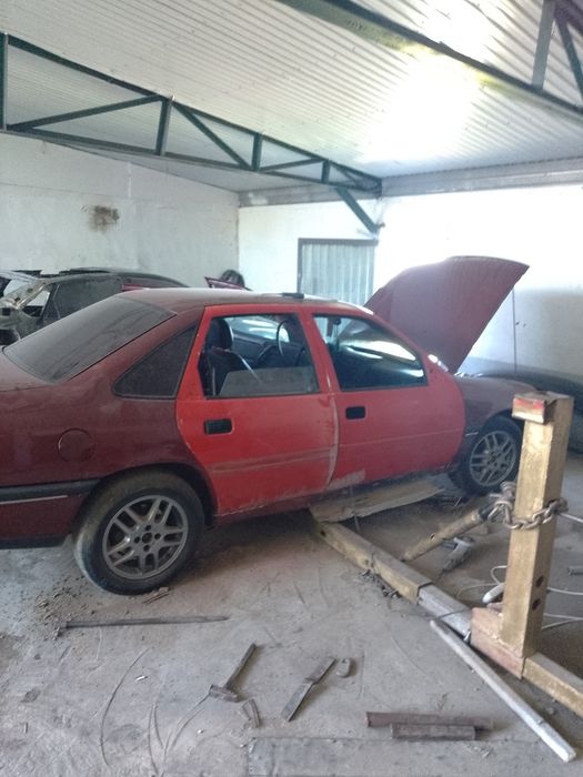 Кастоправ  покраска