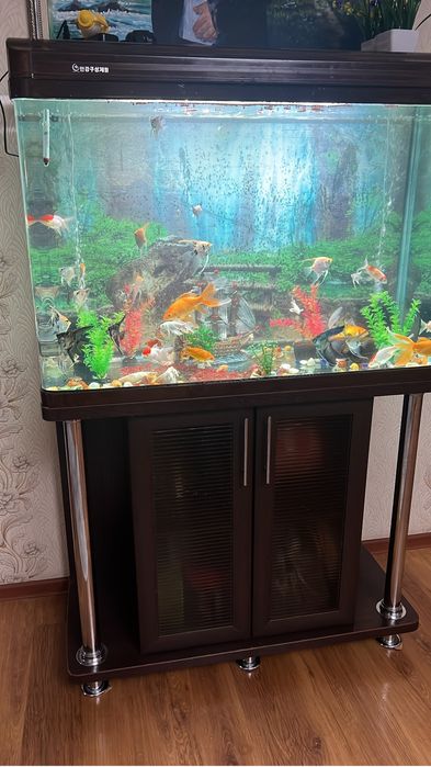 Аквариум заводской 250 литр