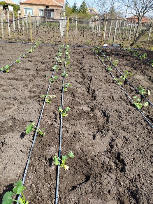 Фрезоване/оране/ на дворни места