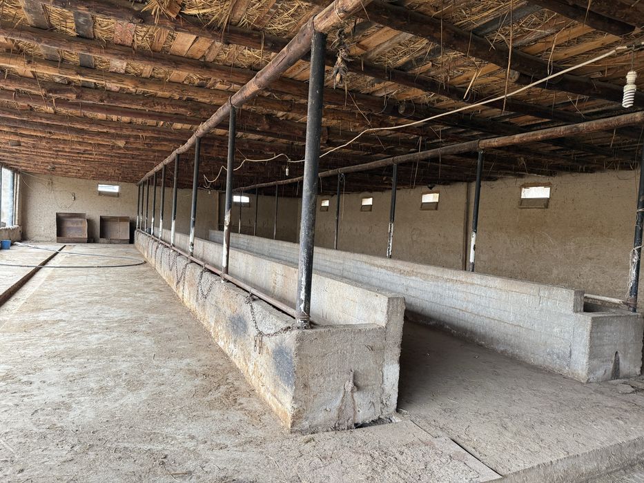 Дайын қора + үй сатылады