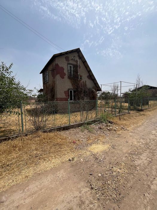 Dachshund prodayotsa