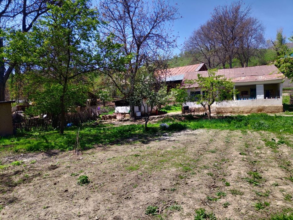 Uchastka sotiladi, Nefrit ko'liga yaqin joyda joylashgan