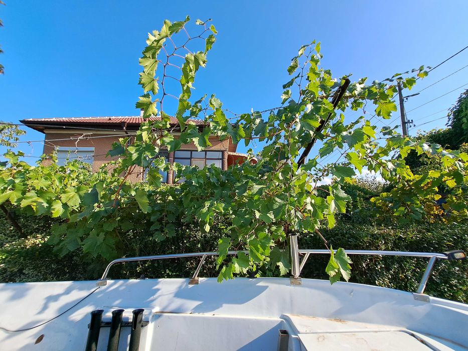 Лодка за риболов и разходка - тримаран, върви с мотор и колесар.