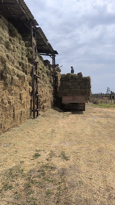 продам сено 1400