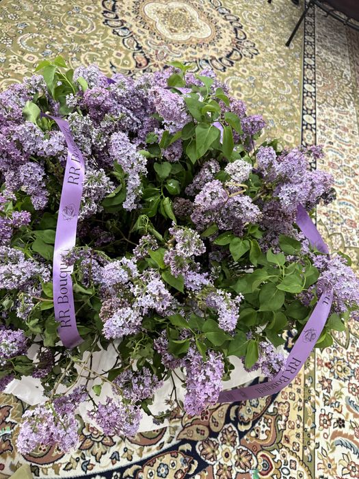 апрельски сирень 35.000тт